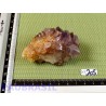 Quartz Cactus dit Esprit Q EXTRA 108g