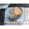 Chrysocolle en savonnette polie Q Extra 118g