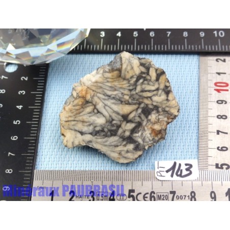 Pinolite en pierre brute sciée 75g Autriche Pinolite en pierre brute sciée 75g Autriche