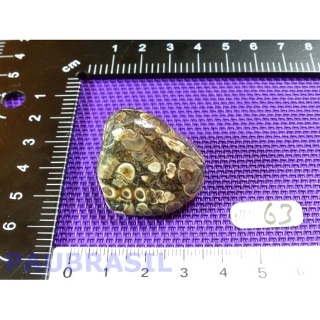 Agate Turitelle - Turritellas Jaspis 25gr Agate Turitelle - Turritellas Jaspis 25gr