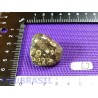 Agate Turitelle - Turritellas Jaspis 25gr