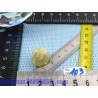 Brazilianite ou Brazillianite en Pierre Brute 5g