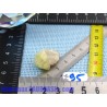 Brazilianite ou Brazillianite en Pierre Brute 5g50