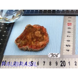 Bois fossilisé en tranche polie Q Extra 58gr Madagascar