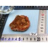 Bois fossilisé en tranche polie Q Extra 58gr Madagascar