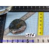 Agate Botswana en Pierre Plate Mini 15g Q Extra