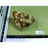 Jaspe Orbiculaire brut de 71g