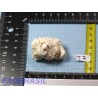 Magnésite en Pierre Semi Roulée 39g