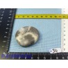 Jaspe Coquille en pierre plate 36g