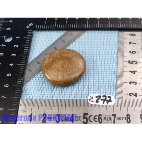 Aragonite en Galet Plat 19g