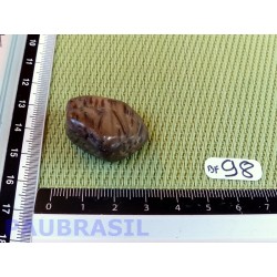 Palmier pétrifié en pierre roulée 13g