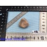 Agate rose naturelle du Botswana pierre roulée 18gr50 Q Extra