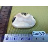 Jaspe Feuille d'Argent en Pierre Plate 22g