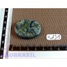 Jaspe Kambaba - Crocodile tranche plate Q Extra 16gr