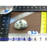 Jaspe Kiwi en Pierre roulée 12g
