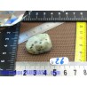 Jaspe Kiwi en Pierre roulée 16g