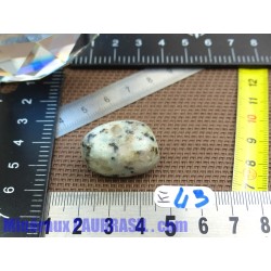 Jaspe Kiwi en Pierre roulée 13g