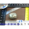 Jaspe Kiwi en Pierre roulée 13g