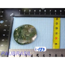Agate Mousse en Pierre Plate 24g