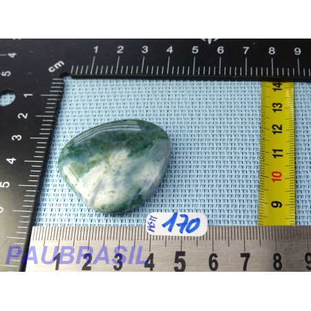 Agate Mousse en Pierre Plate Mini 19gr Agate Mousse en Pierre Plate Mini 19gr