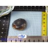 Agate Botswana en Pierre Roulée 22gr