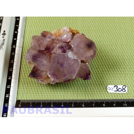 Quartz Cactus dit Esprit Q EXTRA 197g