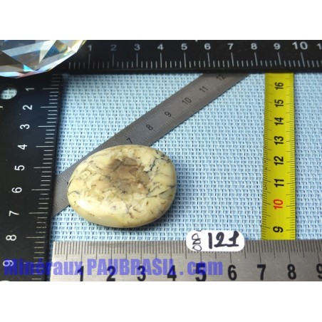 Opale à Dendrites en pierre plate Q Extra 16gr