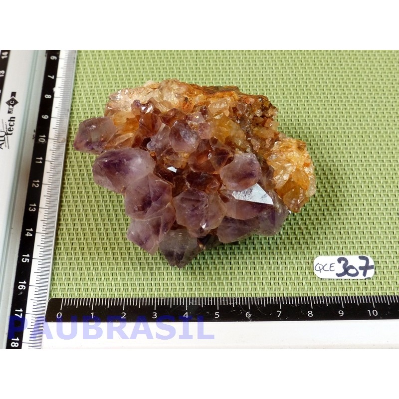 Quartz Cactus dit Esprit 194g