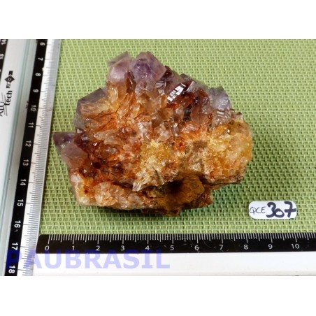 Quartz Cactus dit Esprit 194g