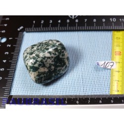 Agate arborisée - agate arbre pierre roulee jumbo 66gr
