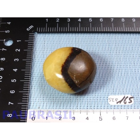 Galet poli en Septaria de 59g Galet poli en Septaria de 59g
