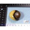 Galet poli en Septaria de 59g