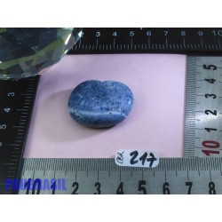 Corail Bleu en Pierre Plate 13g