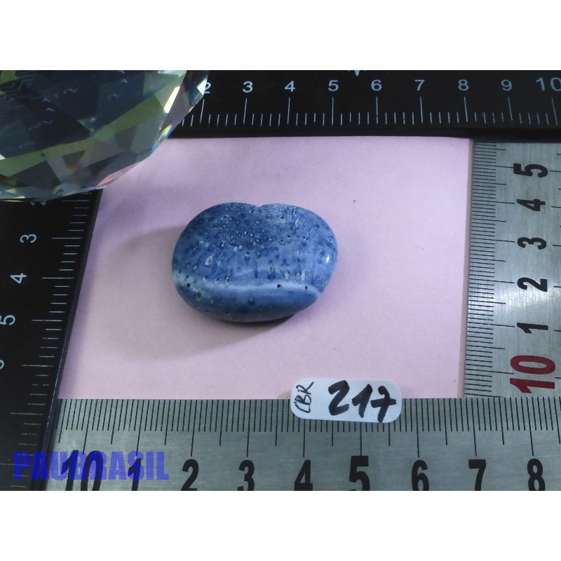 Corail Bleu en Pierre Plate 13g