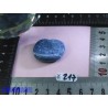 Corail Bleu en Pierre Plate 13g