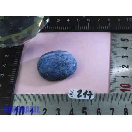 Corail Bleu en Pierre Plate 13g
