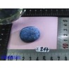 Corail Bleu en Pierre Plate 13g