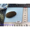 Tectite de Thailande pierre brute 36gr
