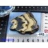 Sphalerite sur Marcassite - Schalenblende tranche polie Q Extra 98gr50