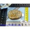 Jaspe leopard en pierre plate de 33gr