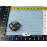 Astrophyllite véritable et rare en Pierre plate 12g