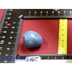 Corail Bleu en Pierre Roulée 20g