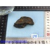 Ambre bleu de Sumatra pierre brute Q Extra 21gr50