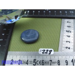 Corail Bleu en Pierre Plate Mini 7g