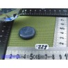 Corail Bleu en Pierre Plate Mini 7g