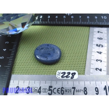 Corail Bleu en Pierre Plate Mini 7g