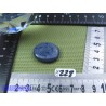 Corail Bleu en Pierre Plate Mini 7g