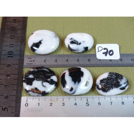 Jaspe Zébré Lot de 5 Pierres Plates 54g | Minéraux Paubrasil