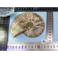 Ammonite une face Polie Q Extra 180g