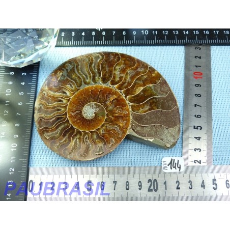 Ammonite une face Polie Q Extra 180g